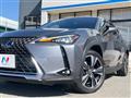 2019 Lexus Other