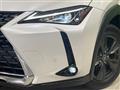 2019 Lexus Other