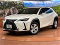 2021 Lexus Other