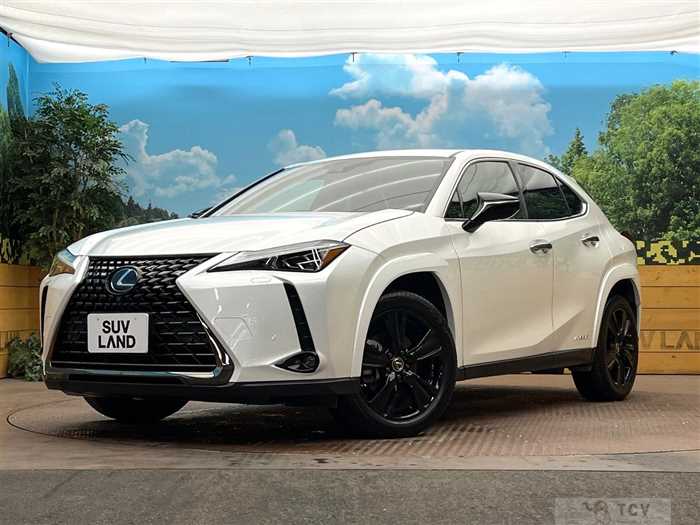 2021 Lexus Other