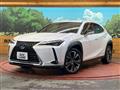 2019 Lexus Other