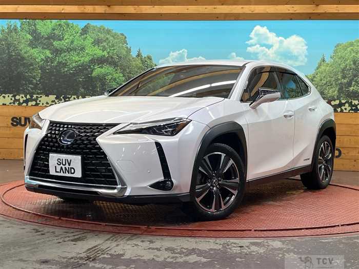 2019 Lexus Other