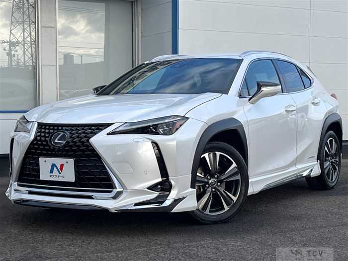 2019 Lexus Other