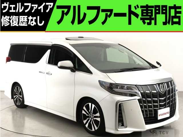 2019 Toyota Alphard G