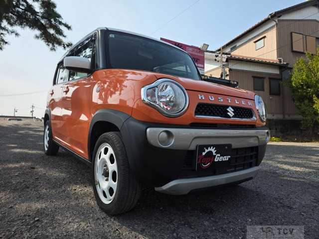 2019 Other All Other All