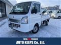 2025 Mitsubishi Minicab Truck