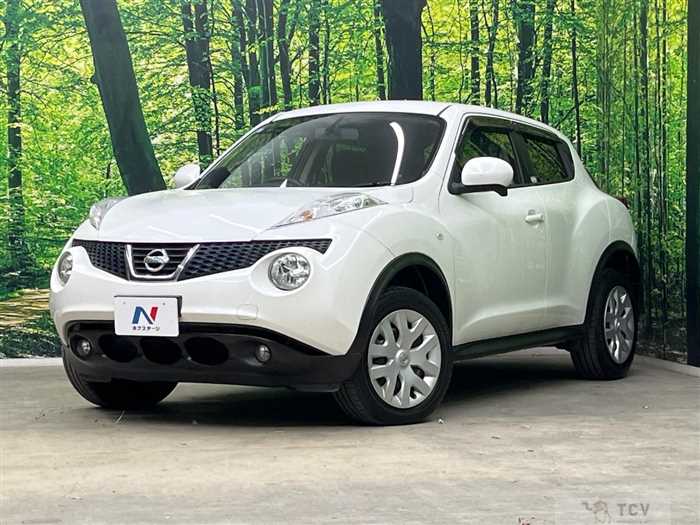 2013 Nissan Juke