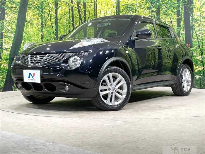 2013 Nissan Juke