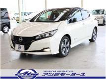 2021 Nissan Nissan Others