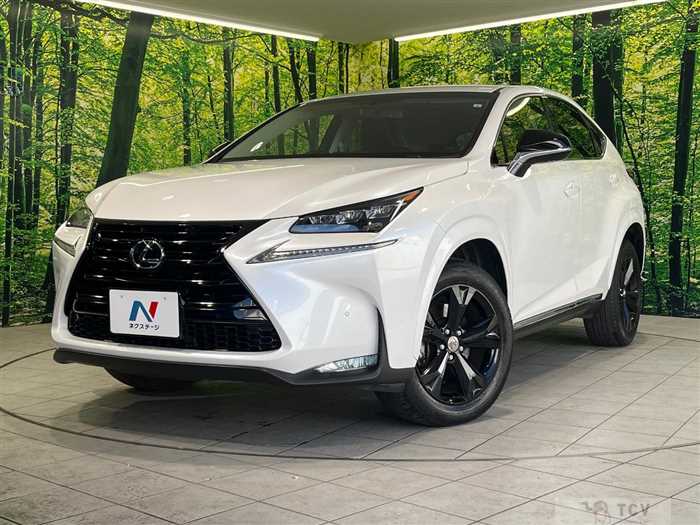 2017 Lexus NX