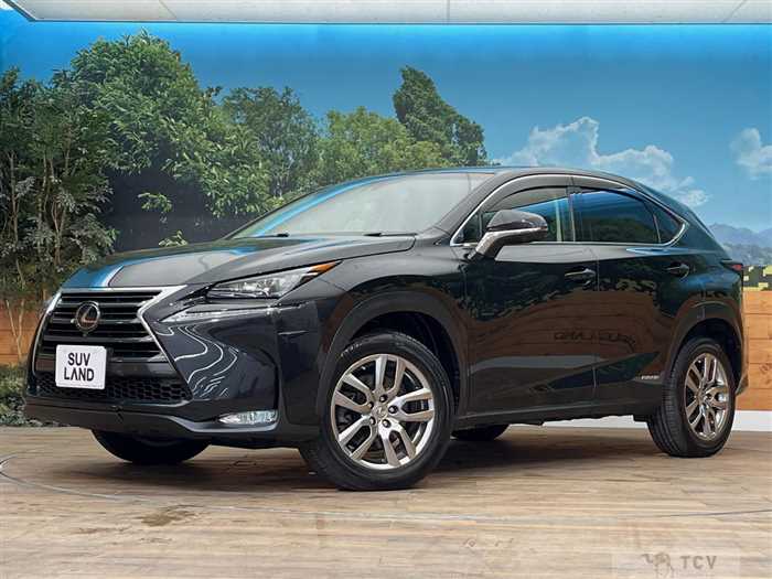 2017 Lexus NX