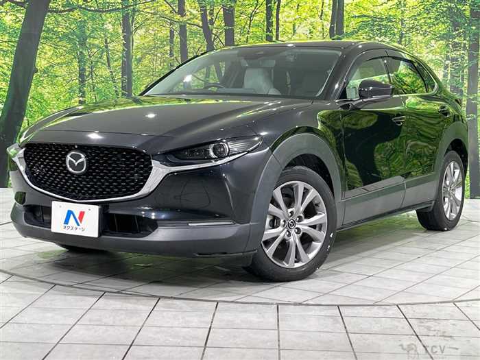 2019 Mazda Mazda Others