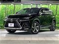 2019 Lexus NX