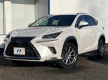 2019 Lexus NX