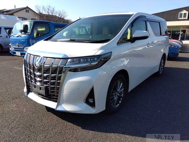 2019 Toyota Alphard G