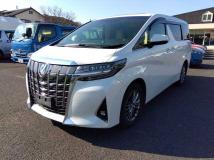 2019 Toyota Alphard G