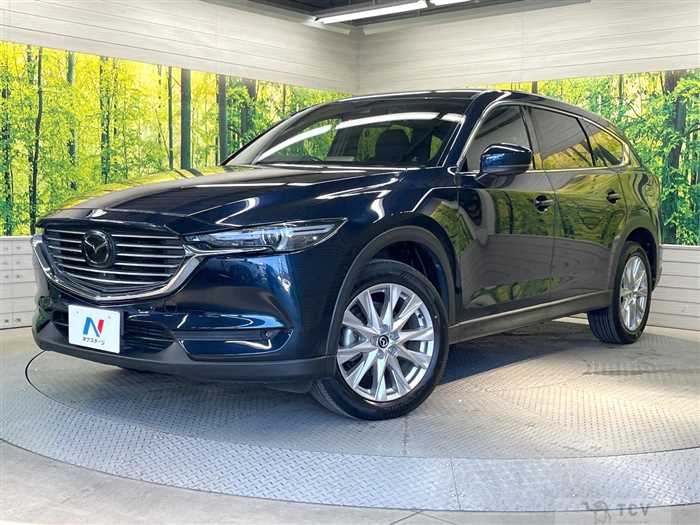 2018 Mazda CX-8