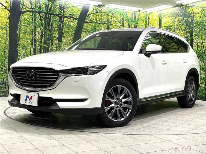 2019 Mazda CX-8