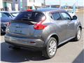 2011 Nissan Juke