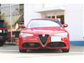 2019 Alfa Romeo Alfa Romeo Others