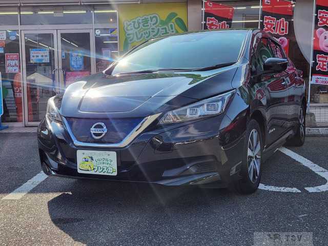 2019 Nissan Nissan Others