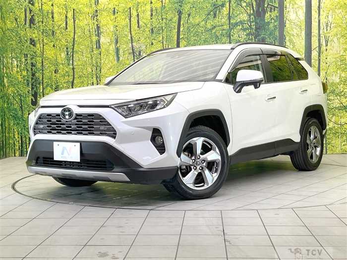 2019 Toyota RAV4