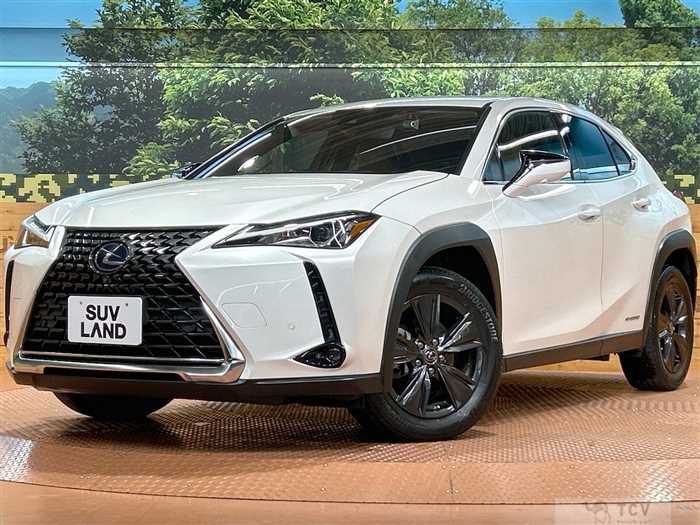 2020 Lexus Other