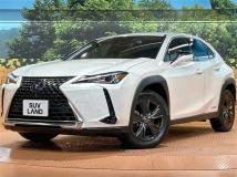2020 Lexus Other