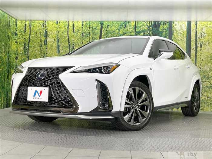 2020 Lexus Other