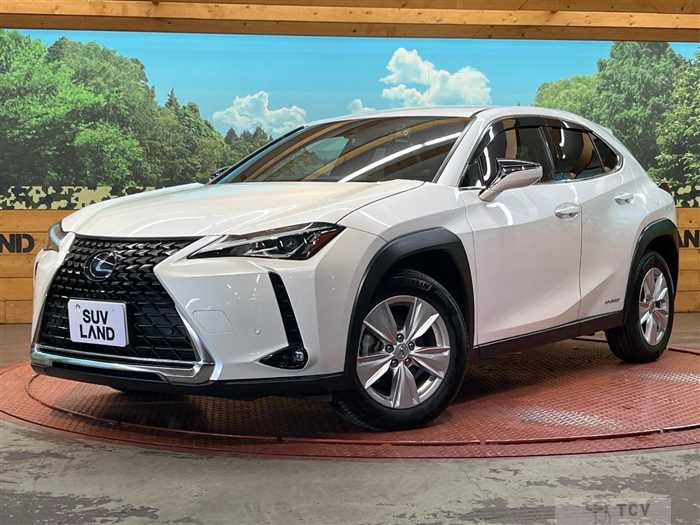 2021 Lexus Other