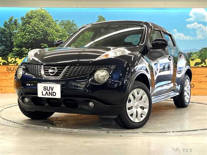 2012 Nissan Juke
