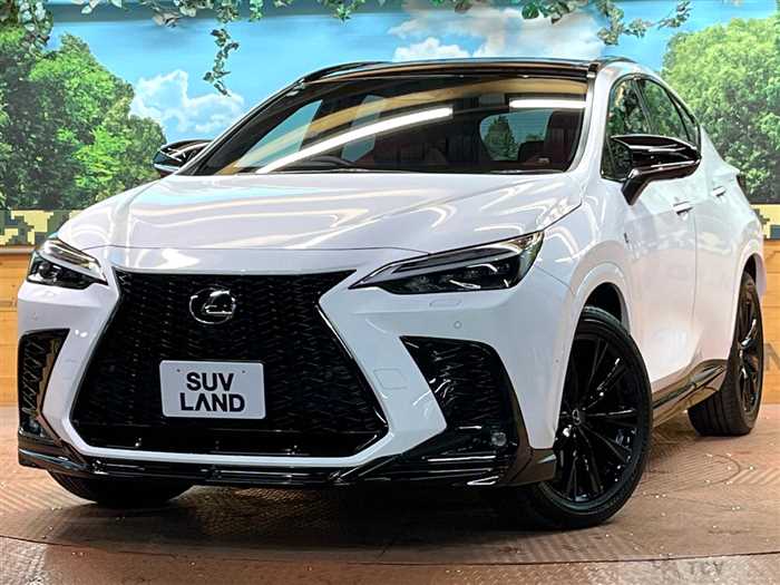 2023 Lexus NX