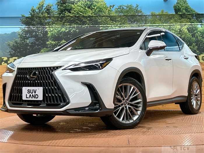 2023 Lexus NX