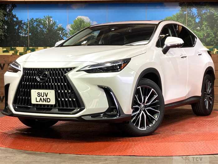 2023 Lexus NX