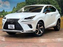2020 Lexus NX