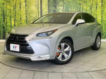 2014 Lexus NX
