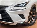 2019 Lexus NX