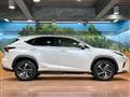 2019 Lexus NX
