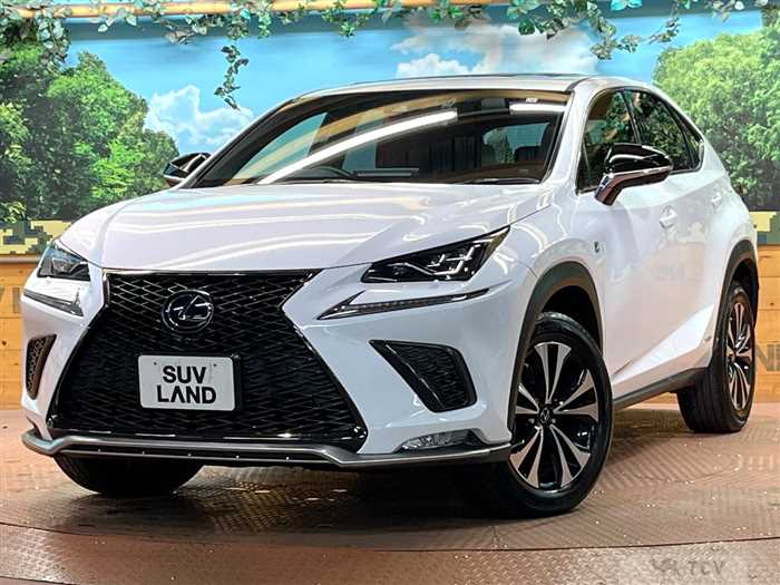 2020 Lexus NX