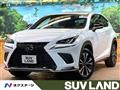 2020 Lexus NX