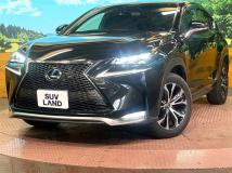 2015 Lexus NX