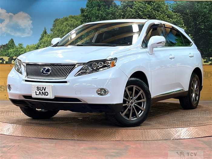 2010 Lexus RX