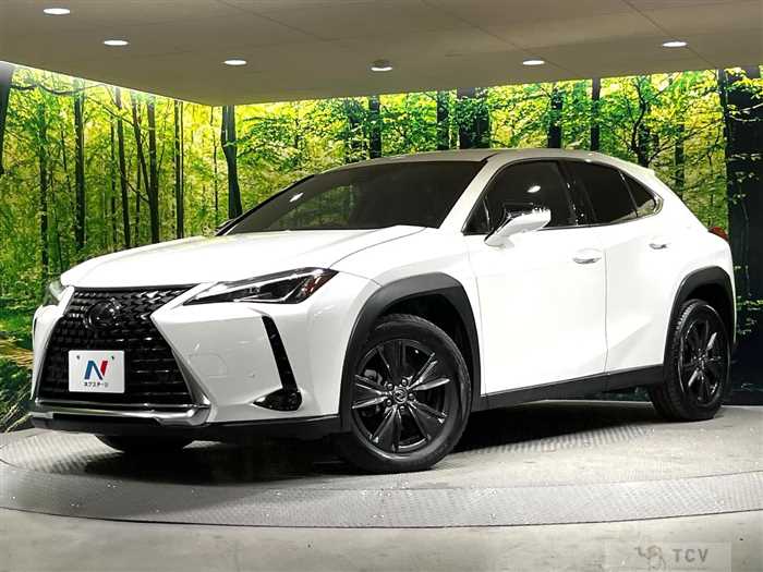 2019 Lexus Other