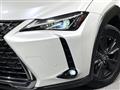 2019 Lexus Other