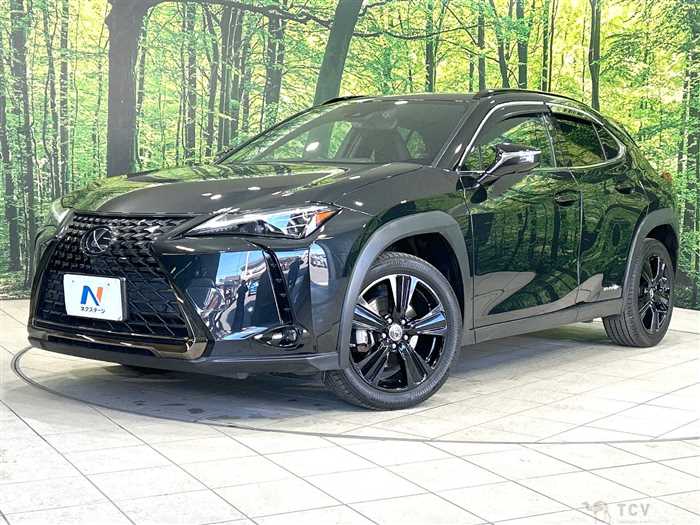 2021 Lexus Other