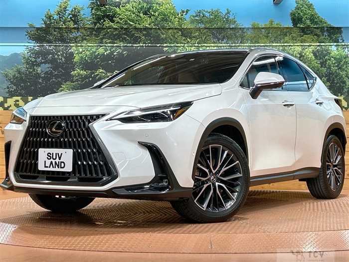 2023 Lexus NX