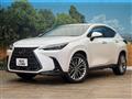 2021 Lexus NX