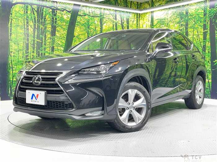 2016 Lexus NX