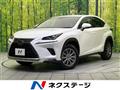 2019 Lexus NX