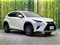 2019 Lexus NX